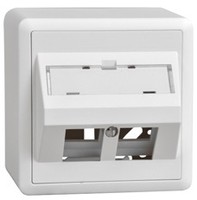 LAN AP54 prise de sortie oblique 2 x Keystone EDIZIOdue 20 blc