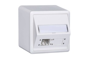 RdM AP DA-Dose EDIZIOdue, 74x74, H54, 2 Port, Kat6A, ws