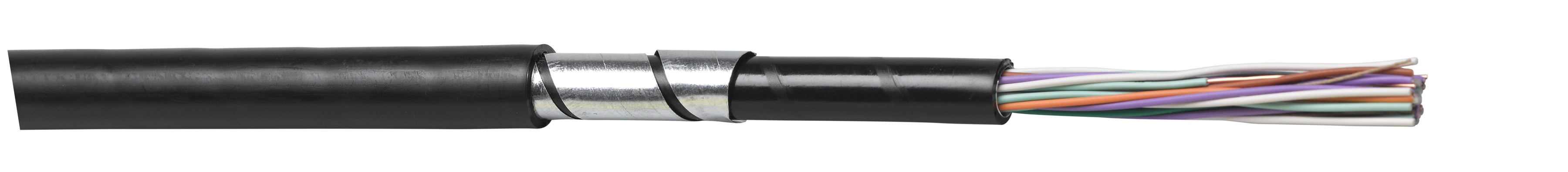 PE-ALT-CLT 50x4x0.6 hf schwarz Fca