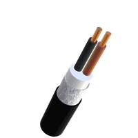 FE05B-CL 2x2.5 2L sh noir B2ca