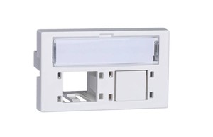 RdM FLF DA-Dose2 Port Kat5/6 ws